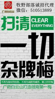 如何成為纖纖梅代理，結(jié)合國內(nèi)旅游服務(wù)開拓業(yè)務(wù)